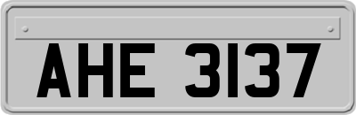 AHE3137