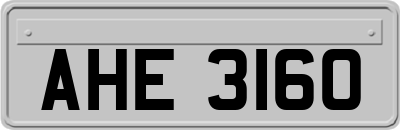 AHE3160