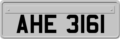 AHE3161