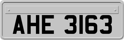 AHE3163