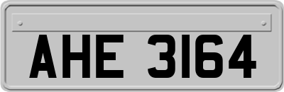AHE3164