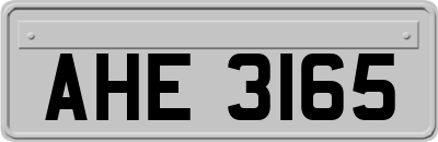 AHE3165