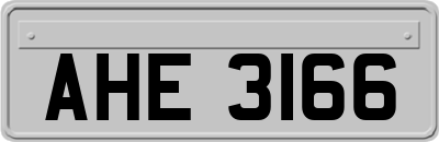 AHE3166