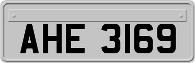 AHE3169