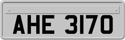 AHE3170