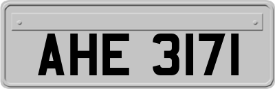 AHE3171