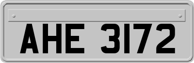 AHE3172