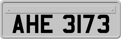 AHE3173
