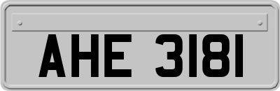 AHE3181