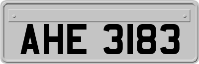 AHE3183