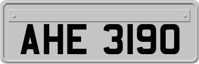 AHE3190