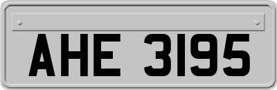 AHE3195