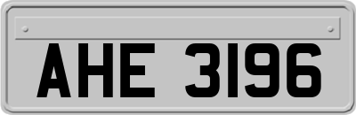 AHE3196