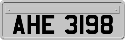 AHE3198