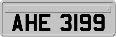 AHE3199