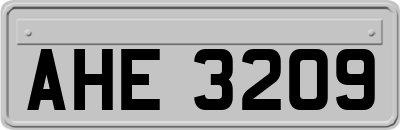 AHE3209