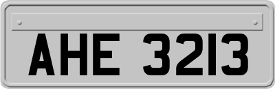 AHE3213