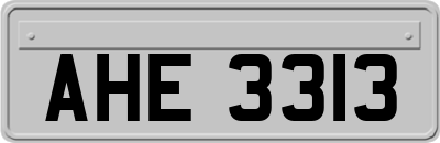 AHE3313