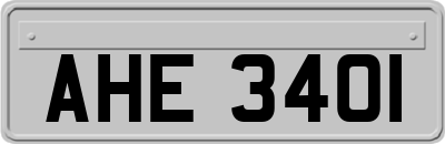 AHE3401
