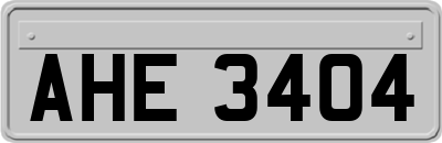 AHE3404