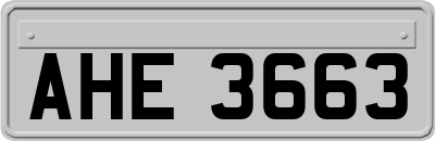 AHE3663
