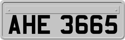 AHE3665