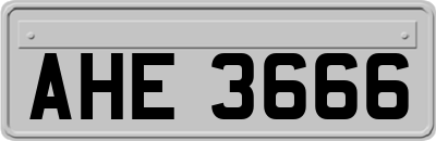 AHE3666