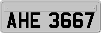 AHE3667
