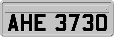 AHE3730