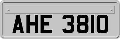 AHE3810