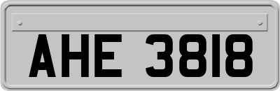 AHE3818