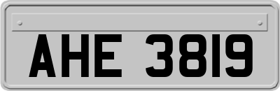 AHE3819