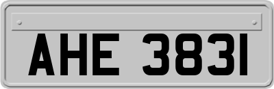 AHE3831