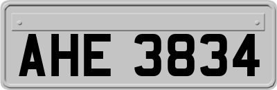 AHE3834