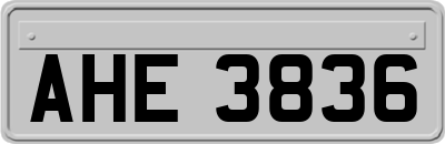 AHE3836
