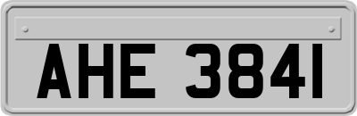 AHE3841