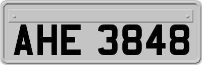 AHE3848