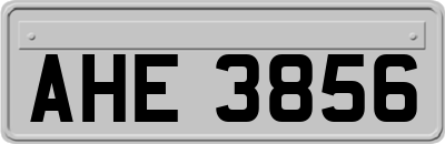 AHE3856