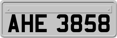 AHE3858