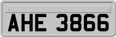 AHE3866