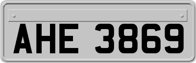AHE3869