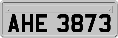 AHE3873