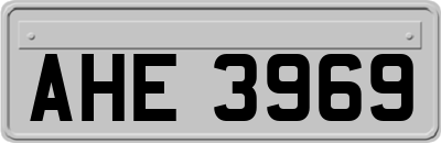 AHE3969