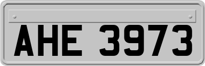 AHE3973