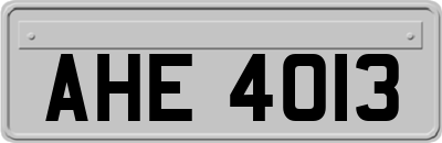 AHE4013