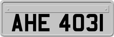 AHE4031