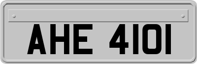 AHE4101