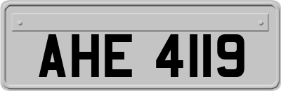 AHE4119