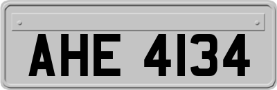 AHE4134