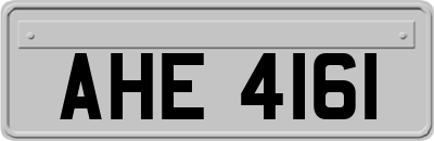 AHE4161